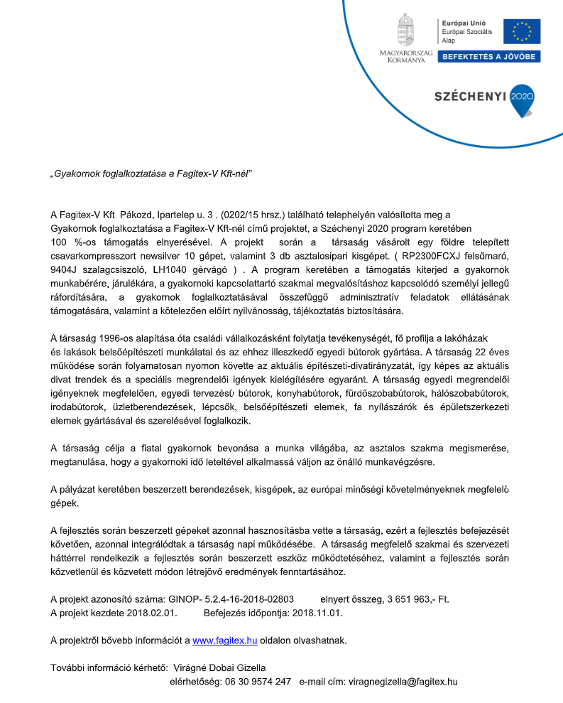 Gyakornoki foglalkoztatás